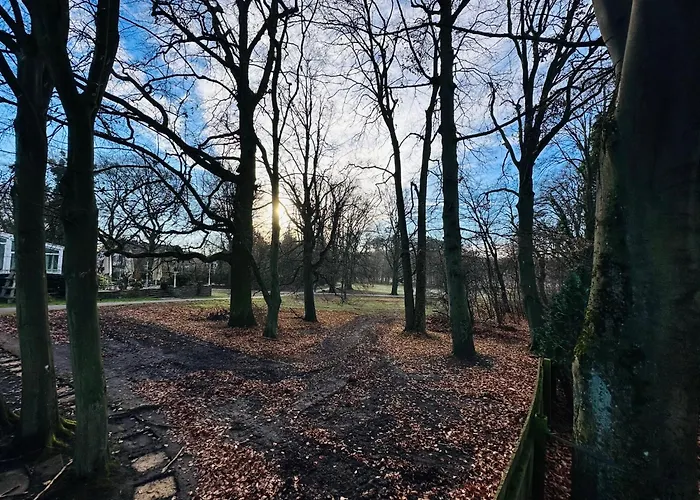 Apartment Robinien Apartment- 4 Personen- 2 Schlafzimmer- Parkplatz- Waschmaschine Wolfsburg